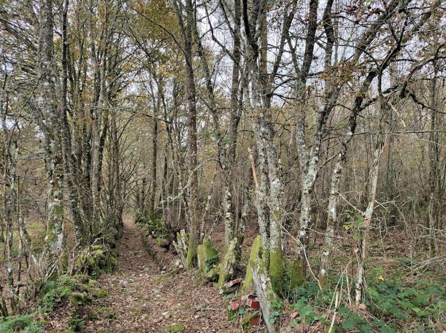 Casa Carmina: Casa Para Pequenos Grupos En El Corazon De Galicia O Irixo Екстериор снимка